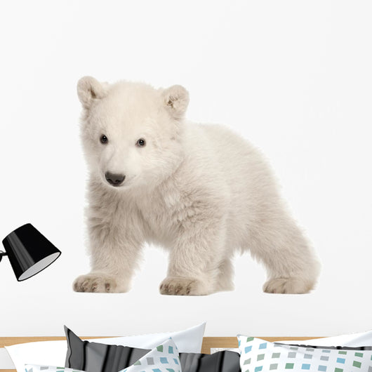 Standing Polar Bear Cub Wall Decal