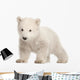 Standing Polar Bear Cub Wall Decal