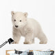 Standing Polar Bear Cub Wall Decal