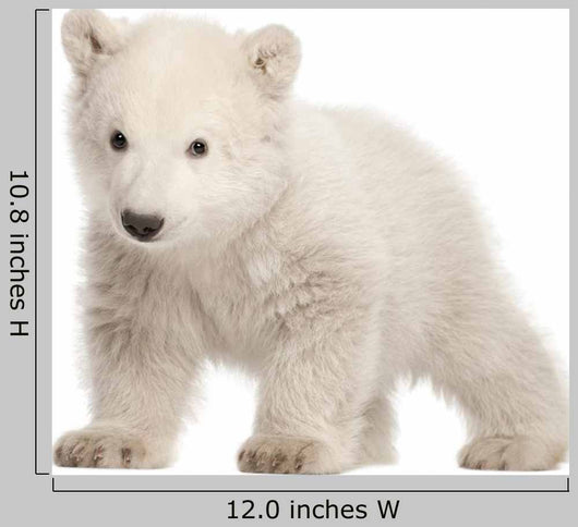 Polar Bear Cub Sitting Wall Decal -  – Wallmonkeys