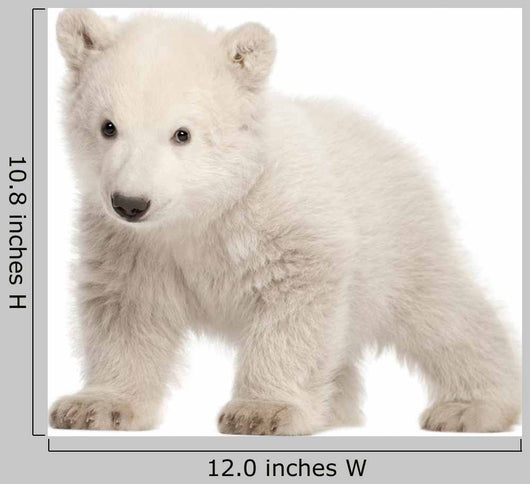 Standing Polar Bear Cub Wall Decal