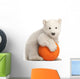 Polar Bear Cub on a Ball Wall Decal