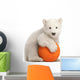 Polar Bear Cub on a Ball Wall Decal