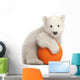 Polar Bear Cub on a Ball Wall Decal