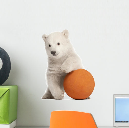 Polar Bear Cub with Orange Ball Wall Decal