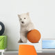 Polar Bear Cub with Orange Ball Wall Decal