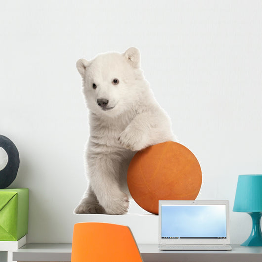Polar Bear Cub with Orange Ball Wall Decal
