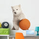 Polar Bear Cub with Orange Ball Wall Decal