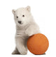Polar Bear Cub with Orange Ball Wall Decal