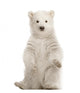 Polar Bear Cub Sitting Up Wall Decal