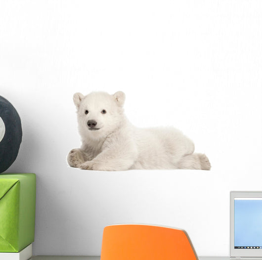 Polar Bear Cub Wall Decal