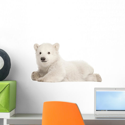 Polar Bear Cub Wall Decal