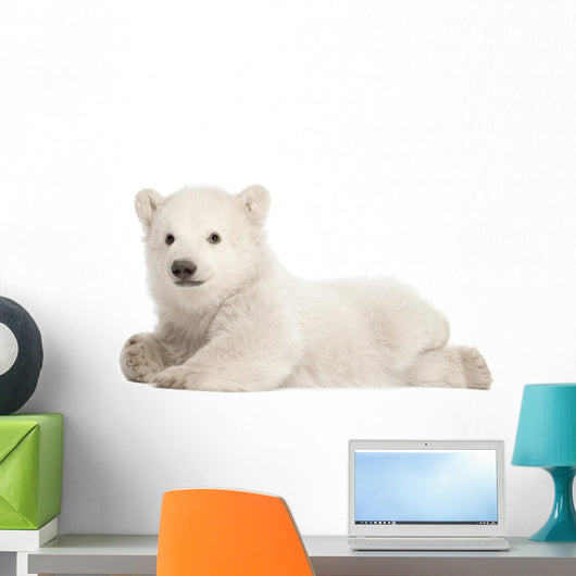 Polar Bear Cub Wall Decal