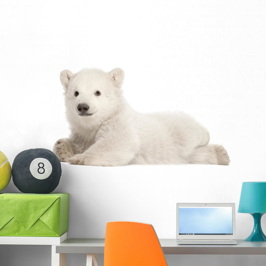 Polar Bear Cub Wall Decal