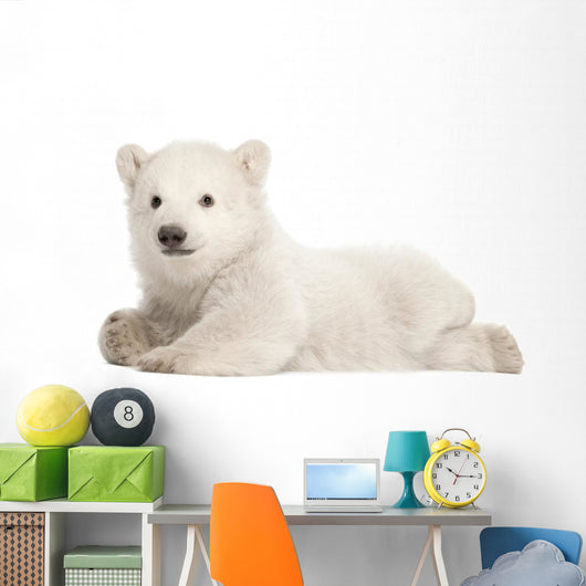 Polar Bear Cub Wall Decal