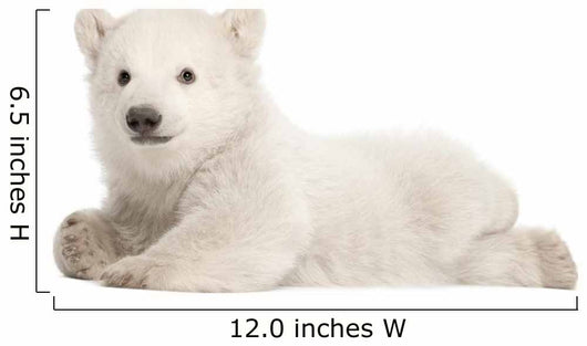 Polar Bear Cub Wall Decal