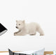 Stretching Polar Bear Cub Wall Decal
