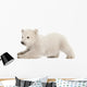 Stretching Polar Bear Cub Wall Decal