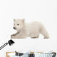 Stretching Polar Bear Cub Wall Decal