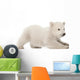 Polar Bear Cub Starting to Lay Down Wall Decal