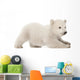 Polar Bear Cub Starting to Lay Down Wall Decal