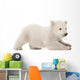 Polar Bear Cub Starting to Lay Down Wall Decal