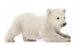 Polar Bear Cub Starting to Lay Down Wall Decal