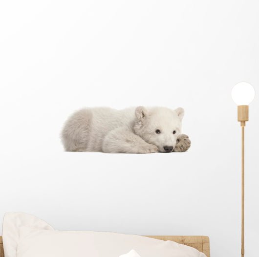 Resting Polar Bear Cub Wall Decal