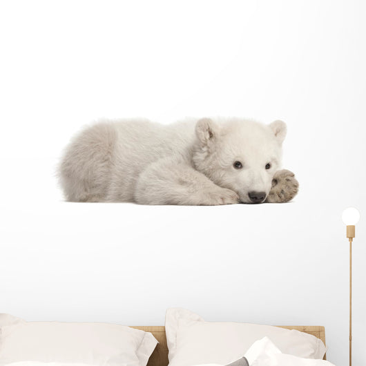 Resting Polar Bear Cub Wall Decal