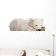 Resting Polar Bear Cub Wall Decal