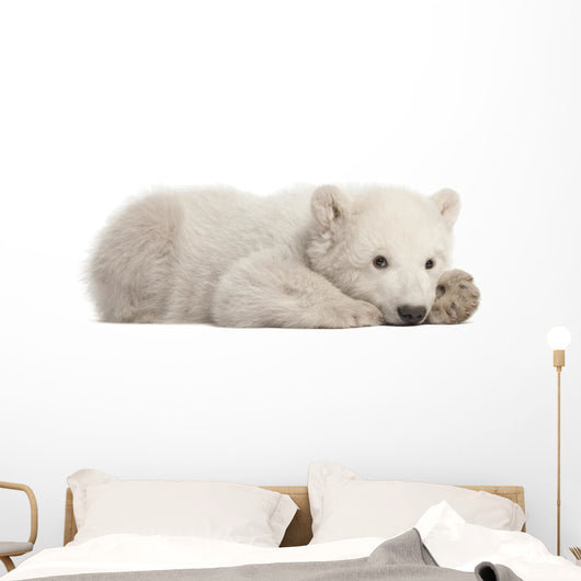 Resting Polar Bear Cub Wall Decal