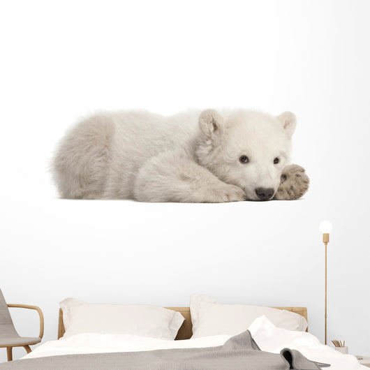 Resting Polar Bear Cub Wall Decal
