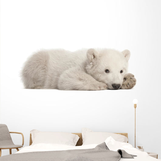 Resting Polar Bear Cub Wall Decal