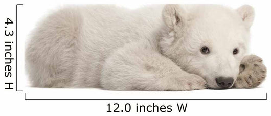 Resting Polar Bear Cub Wall Decal