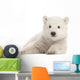 Polar Bear Cub Watching Wall Decal