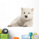 Polar Bear Cub Watching Wall Decal