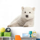 Polar Bear Cub Watching Wall Decal