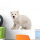 Polar Bear Cub Sitting and Roaring Wall Decal