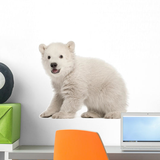 Polar Bear Cub Sitting and Roaring Wall Decal 