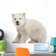 Polar Bear Cub Sitting and Roaring Wall Decal