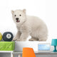 Polar Bear Cub Sitting and Roaring Wall Decal