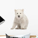 Sitting Polar Bear Cub Wall Decal