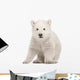 Sitting Polar Bear Cub Wall Decal