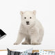 Sitting Polar Bear Cub Wall Decal