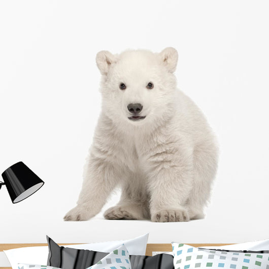 Sitting Polar Bear Cub Wall Decal