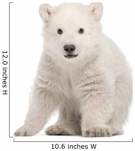 Sitting Polar Bear Cub Wall Decal