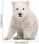 Sitting Polar Bear Cub Wall Decal