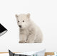 Polar Bear Cub Sitting Wall Decal