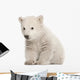 Polar Bear Cub Sitting Wall Decal