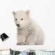 Polar Bear Cub Sitting Wall Decal
